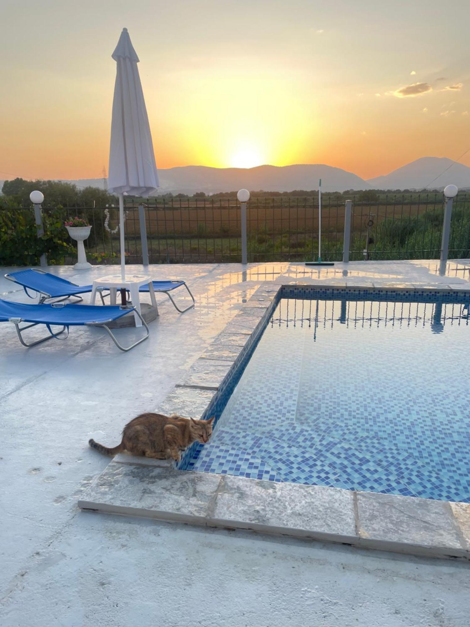 Anastasias Apartments Sarandë Exteriör bild